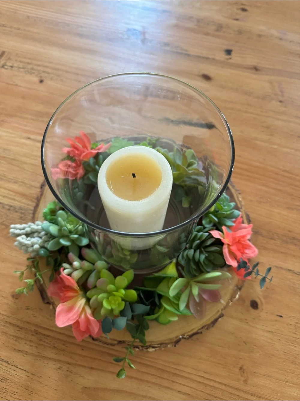 N/A beautiful succulent